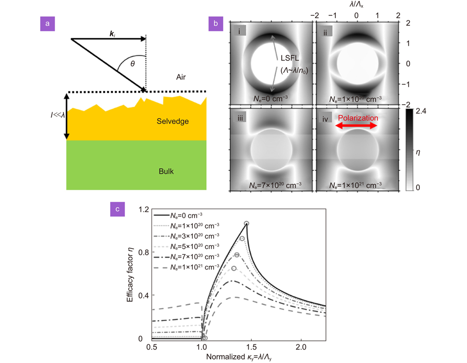 (a) The schematic of light irradiated on a rough surface at an incident angle θ, where ki is the wave-vector component parallel to the surface, and l is the thickness of selvedge region. (b) The efficacy factor η as a function of the normalized LIPS wave vector for silica at different excited state. (c) The efficacy factor η along the positive ky-axis for silica at different excitation levels, with circles marking ky-positions where LIPS formation could be expected. Figure reproduced with permission from: (a) ref.16, American Physical Society; (b, c) ref.22, AIP Publishing.