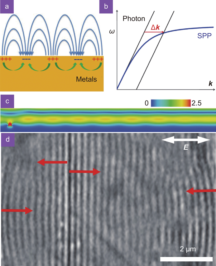 (a) Schematic illustration of SPPs. (b) Dispersion curves of SPPs and light in air. (c) SPP excitation on ZnO surface in the excited state launched by a groove. (d) The SEM image of the nanostructures on the ZnO surface irradiated by 800 nm femtosecond laser, where the LSFLs originated from the nanogroove or the ablation edge, as shown as the red arrows. Figure reproduced with permission from: (b) ref.49, AIP Publishing; (c, d) ref.21, American Chemical Society.