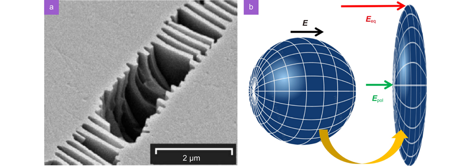 (a) SEM image of HSFLs inside fused silica induced by 800 nm femtosecond laser pulses. (b) Nanoplasma growth into plane governed by local field distribution, where Epol and Eeq are the local fields on the polar axis and in the equatorial plane, respectively4, 20. Figure reproduced with permission from: (a) ref.20, American Physical Society.