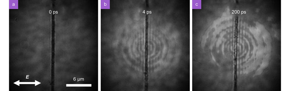 OM images of silicon surface irradiated by a single 800 nm femtosecond pulse of 0.18 J/cm2.The double arrows in (a) show the laser polarization direction. Figure reproduced with permission from ref.52, Optica Publishing Group, under the Optica Open Access Publishing Agreement.
