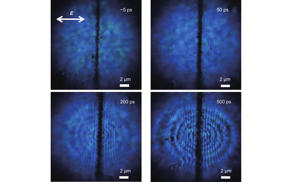 Evolution of LSFLs formed on Au film irradiated by a single 800 nm laser pulse with a fluence of 1.96 J/cm2. The laser polarization, E, is perpendicular to the prefabricated nanogroove. Figure reproduced with permission from ref.25, American Physical Society.