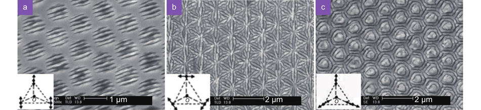 SEM images of composite LIPSs prepared by three-beam interference. The insets show the polarization combinations of the three laser beams. Figure reproduced with permission from ref.37, under a Creative Commons Attribution 4.0 International License.