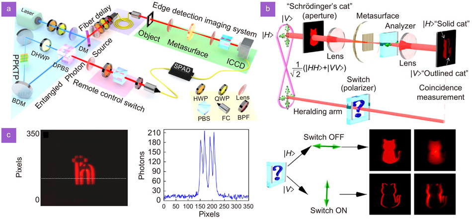 「新商品」に関するプレスリリース Photonic spin Hall effect: fundamentals and emergent ジャケット・アウター