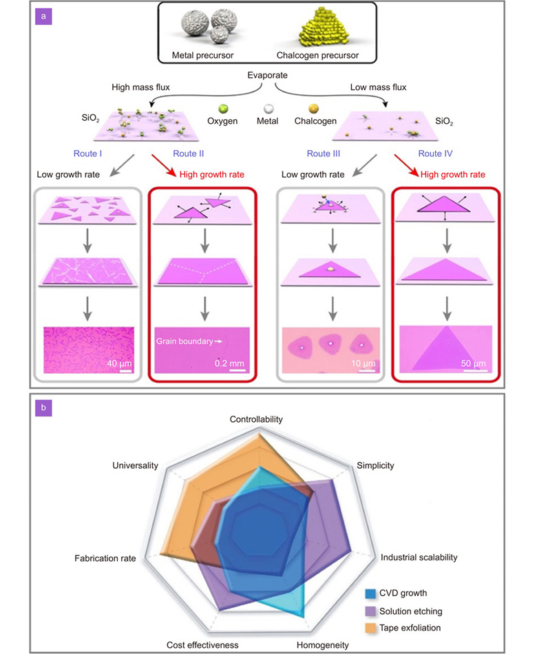 Perovskite-transition metal dichalcogenides heterostructures