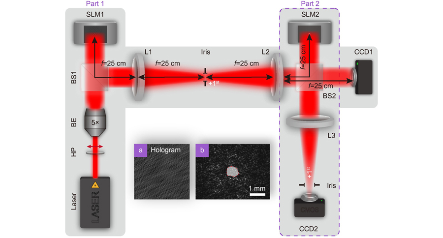 Schematic of an experimental setup for generation (part 1) and measurement (part 2) of the complex optical coherence structures of random optical fields. (a) Example of the computer-generated holograms loaded on the screen of SLM1, which is used to customize the complex spatial optical coherence structure of the random optical fields. (b) An instantaneous speckle intensity captured by the CCD1 camera, wherein the irregular area denotes an obstacle. HP, half-wave plate; BE, beam expander; BS1 and 2, beam splitters; SLM1 and 2, phase-only spastial light modulators; L1–3, thin lenses with same focal length f=25 cm; CCD1 and 2, charge-coupled devices. The irises are used to select the positive (or negative) 1st diffraction beam; The CCD1 and CCD2 cameras are used to capture the individual mode intensity patterns in the source plane and the Fourier plane, respectively.