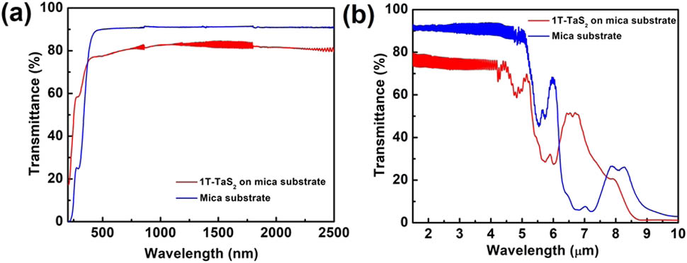 Broadband 1T-polytype tantalum disulfide saturable absorber