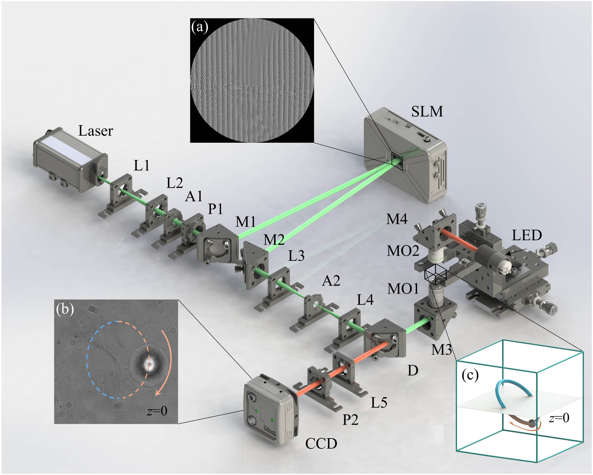 Schematic of the experimental setup. L1, concave lens; L2–L5, convex lenses; P1, P2, polarizers; A1, A2, apertures; SLM, spatial light modulator; M1–M4, mirrors; CCD, charge-coupled device; MO1, MO2, micro-objectives. (a) Phase mask diagram, (b) intensity image of captured particle at z=0 plane, and (c) 3D state model diagram of the captured particle.