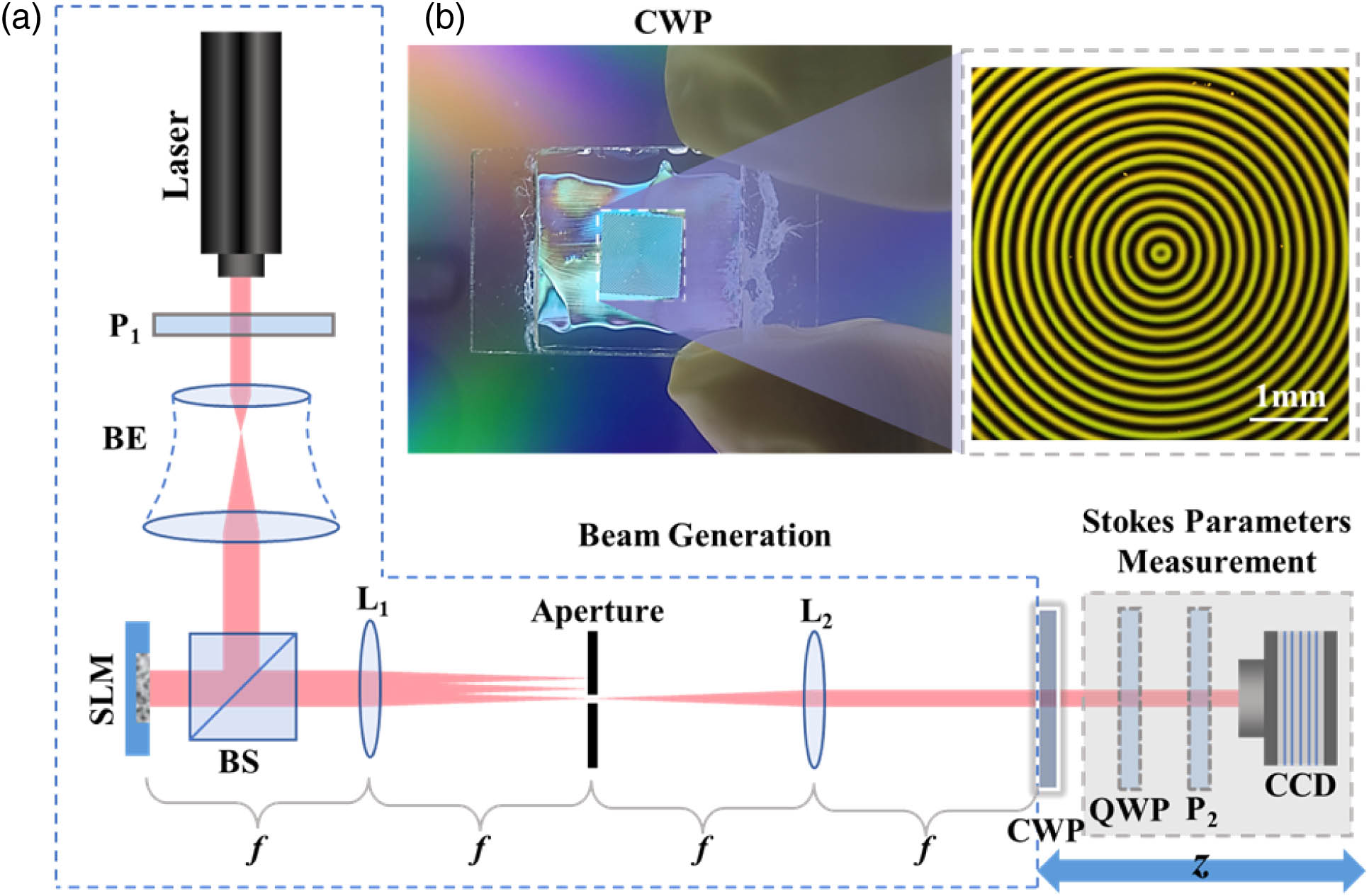 (a) Experimental setup. Laser, He–Ne laser of wavelength 632.8 nm; P, polarizer; BE, beam expander; SLM, spatial light modulator; BS, beam splitter; L, lens; QWP, quarter-wave plate. (b) Photograph and micrograph of the CWP.