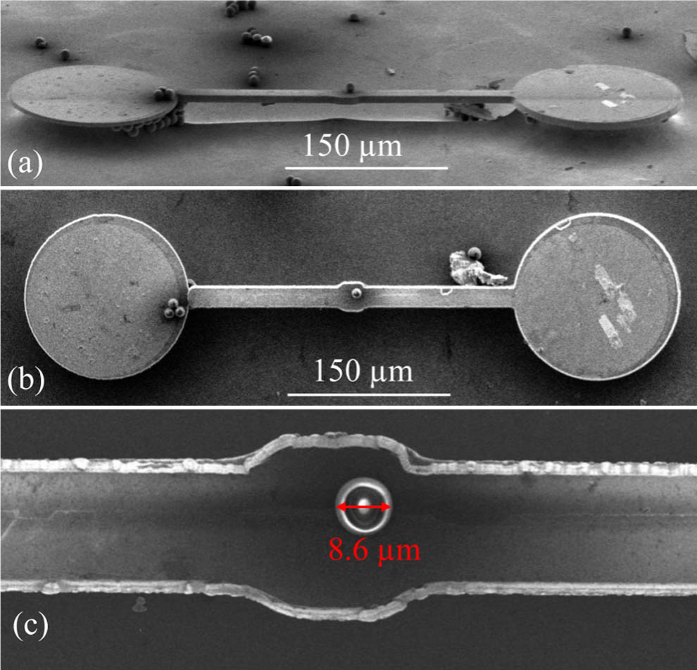 SEM images of type II device with PS. (a) Top view, (b) side view. (c) Enlarged image of beam structure with PS.