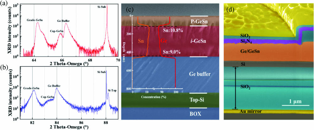 High resolution 2θ-ω X-ray diffraction curves of GeSn alloys on Ge buffer with Si (100) substrate in the (a) (004) and (b) (224) directions. (c) Secondary ion mass spectroscopy (SIMS) depth profile analysis of various elements in the GeSn sample; background depicts the scanning electron microscope (SEM) image of the as-grown material. (d) FIB image of cross section of GeSn RCE-PD with a diameter of 12 μm.