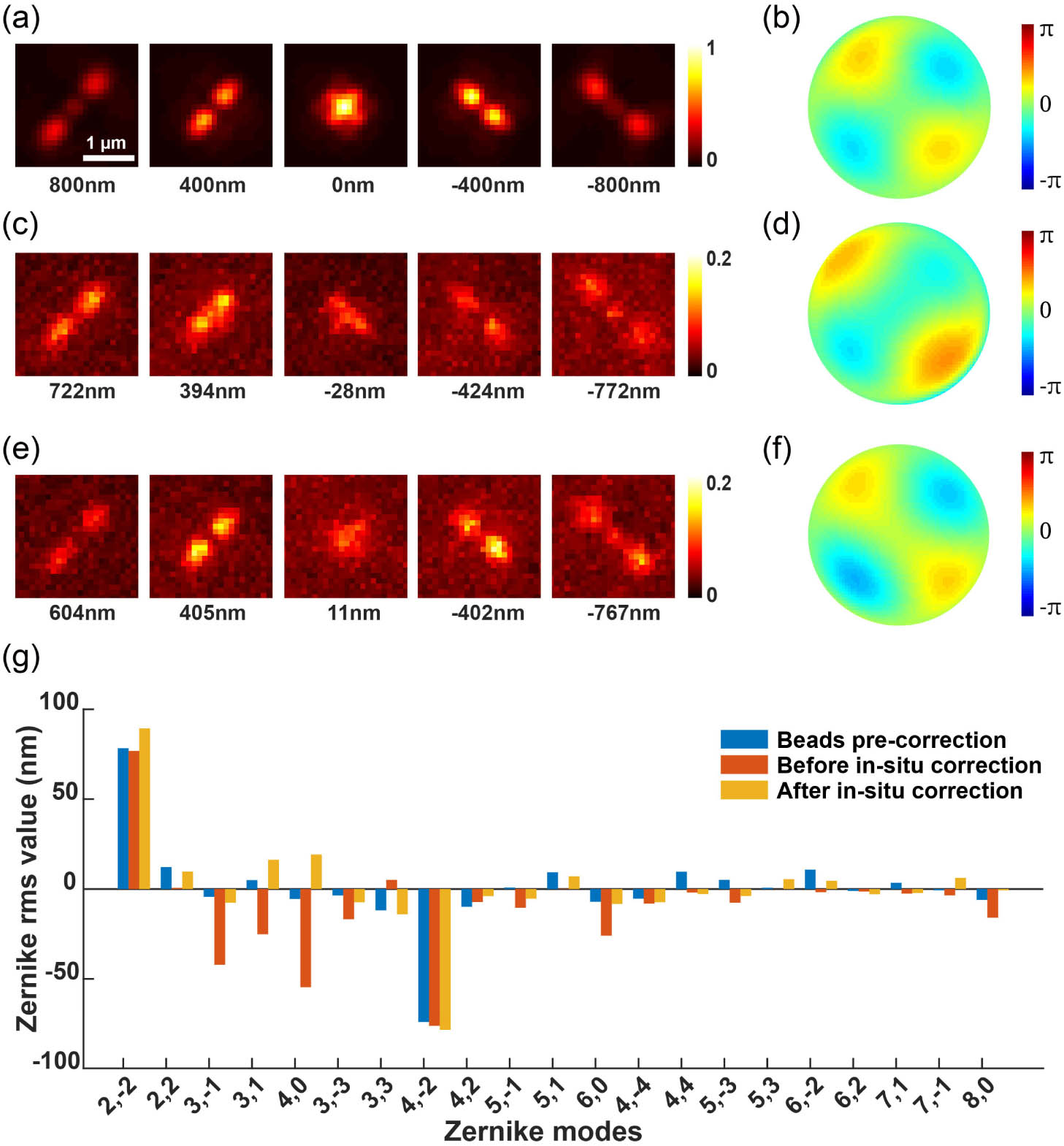 In situ aberration correction using blinking single-molecules under remote focusing. (a) The beads on the coverslip were refocused using the DM to 1 μm above the nominal focal plane, with a pre-correction for aberrations applied to the imaging system. (b) Pupil function derived from the PSF of refocused beads. (c) The refocused PSF was obtained from single-molecule blinking data of immunofluorescence-labeled TOM20, recorded at a depth of 2.5 μm in COS-7 cells. (d) Pupil function calculated from the in situ PSF. (e), (f) The PSF shape and its corresponding pupil function after in situ aberration correction. (g) The fitted 21 Zernike coefficients were obtained from the PSF of refocused beads after system aberration correction, the in situ blinking single-molecule, and the in situ PSF after aberration correction using blinking single-molecule.
