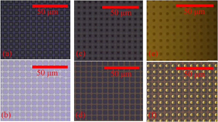 制备过程中的部分光学照片