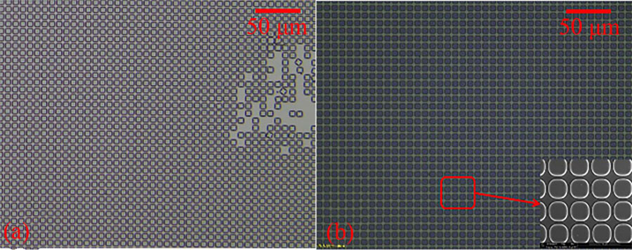(a)无HMDS处理的台面刻蚀结果;(b)有HMDS处理的台面刻蚀结果。