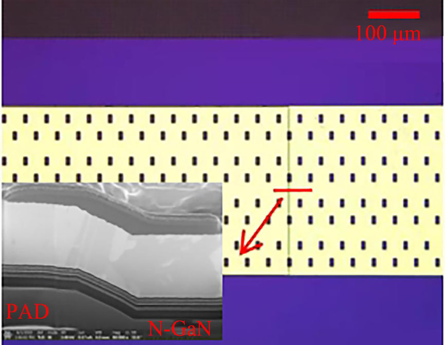 公共阴极显微镜图片(插图:红线处剖面图)