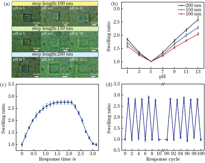 BSA微结构的pH响应特性。(a)三种激光扫描步长(100,150,200 nm)的BSA方块结构(15 μm×15 μm×5 μm)在不同pH值溶液中的光学显微镜照片;(b)三种激光扫描步长的BSA结构的膨胀比随pH值的变化;(c)响应时间与膨胀比的关系曲线;(d)在pH值为13的溶液中,百次循环刺激响应与膨胀比之间的关系
