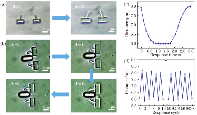 pH调控的智能微机械。(a)微机械在pH刺激下的响应;(b)智能微机械完成“抓住”“释放”“紧抓”物体的反复可逆动作;(c)微机械悬臂间距与响应时间的关系曲线;(d)微机械悬臂在pH值为5~13溶液中实现100次循环切换