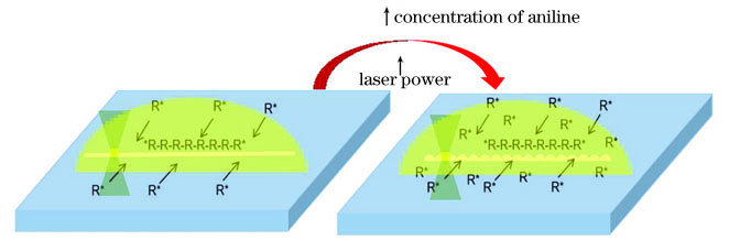苯胺聚合机理示意图