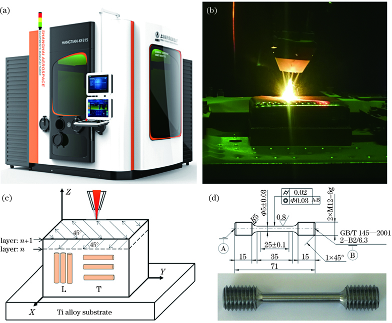 激光熔化沉积系统。(a)系统实物图;(b)成形过程;(c)成形轨迹;(d)拉伸试样