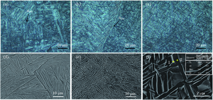 沉积态TC11钛合金的显微组织。(a)等轴晶区的OM形貌;(b)柱状晶区的OM形貌;(c)晶内组织的OM形貌;(d)等轴晶区的SEM形貌;(f)柱状晶区的SEM形貌;(e) 晶内组织的SEM形貌及EDS点分析