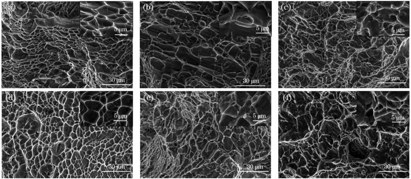 不同温度下热处理后TC11钛合金的拉伸断口形貌。(a) 950 ℃;(b) 965 ℃;(c) 980 ℃;(d) 995 ℃;(e) 1010 ℃;(f) 1025 ℃