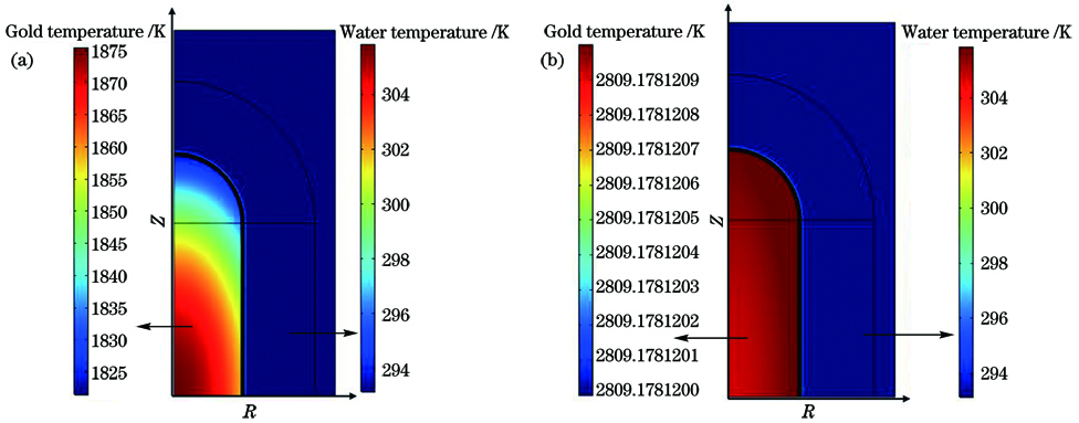 激光能量密度为0.002 J/cm2时纳米金棒的温度分布。(a)晶格温度;(b)电子温度