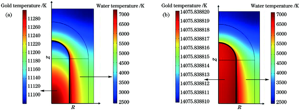 激光能量密度为0.8 J/cm2时 纳米金棒的温度分布。(a)晶格温度;(b) 电子温度
