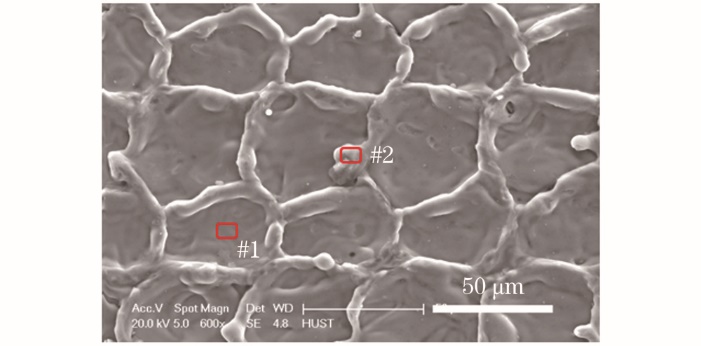 功率60 W,扫描速度4950 mm/s,线间距0.04 mm时6061铝合金的表面形貌