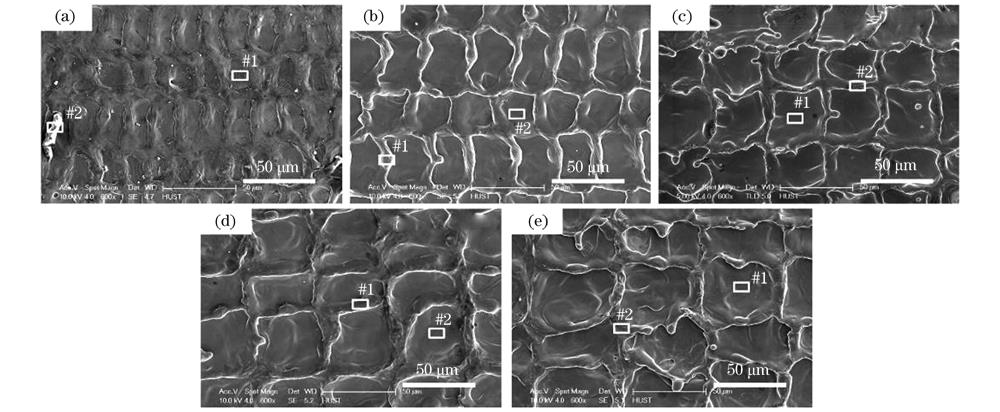 不同扫描速度激光清洗后铝合金的表面形貌。(a) 2000 mm/s;(b) 3000 mm/s;(c) 4000 mm/s;(d) 5000 mm/s;(e) 6000 mm/s