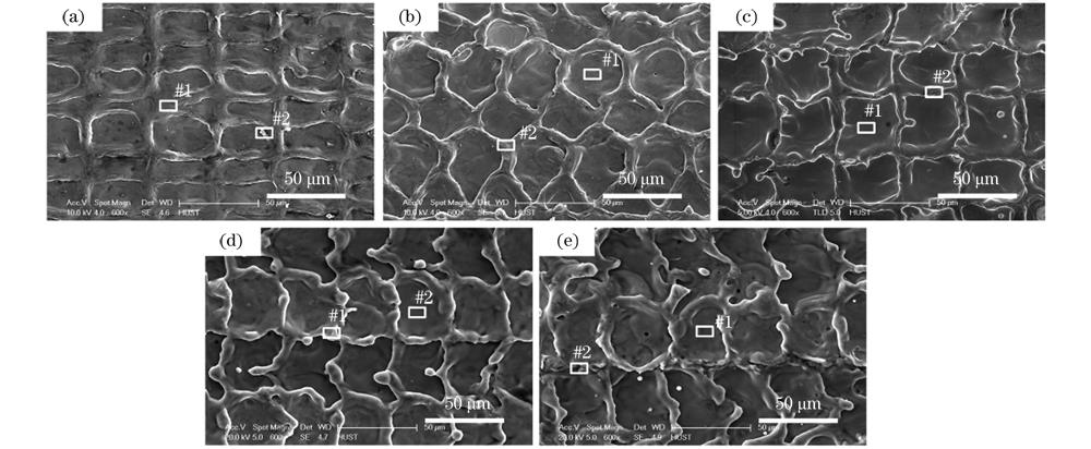不同线间距激光清洗后6061铝合金的表面形貌。(a) 0.02 mm;(b) 0.03 mm;(c) 0.04 mm;(d) 0.05 mm;(e) 0.06 mm