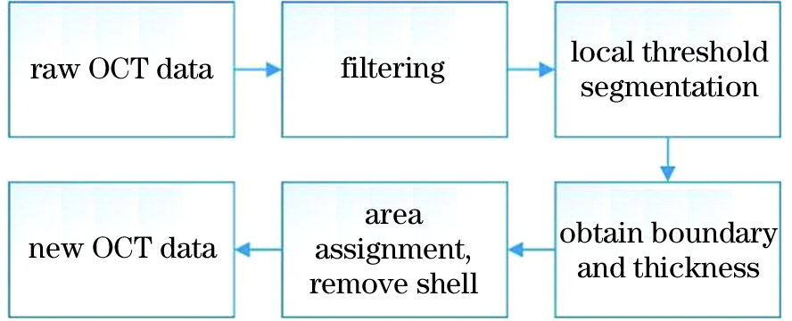 昆虫胚胎卵壳处理方法流程图