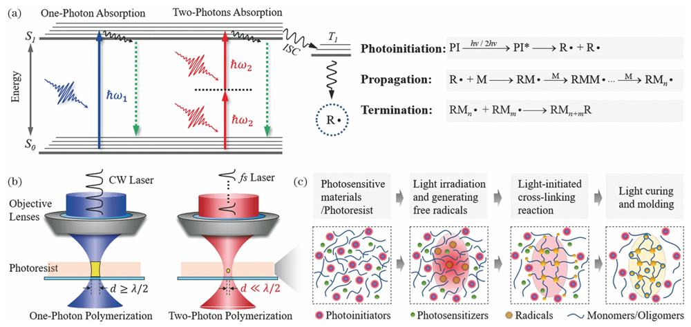 基于单、双光子吸收聚合的微纳3D打印原理。(a)单、双光子吸收能级跃迁及光聚合反应过程示意图,hν表示光子能量,S0表示基态,S1表示激发单线态,T1表示三重态,ISC表示系统间穿越;(b)单、双光子吸收聚合的特征尺度示意图,d代表打印的最小特征尺度;(c)单、双光子激发光刻胶聚合交联过程示意图