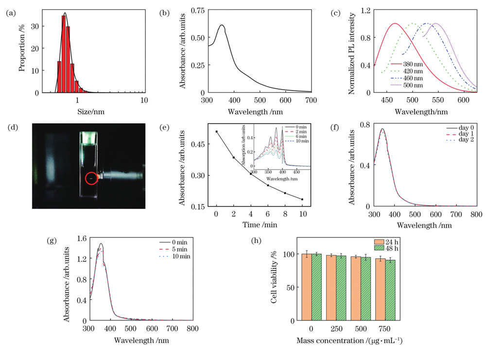 碳点的性能表征。(a)粒径;(b)吸收光谱;(c)荧光光谱;(d)双光子激发荧光;(e)ABDA特征吸收峰(λ=399 nm)强度随光照时间的变化曲线,插图是碳点和ABDA混合溶液在不同时间光照下的紫外-可见光吸收光谱;(f)在PBS中放置不同时间后碳点的吸收光谱;(g)不同光照时间下碳点的吸收光谱;(h)生物相容性评估
