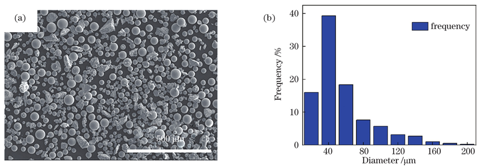 Ti-6Al-4V粉末的表观形貌和粒径分布。(a)表观形貌;(b)粒径分布