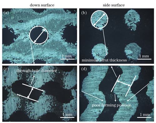 均匀孔隙率单元底面和侧面的表观形貌。(a)~(b)P单元;(c)~(d)G单元