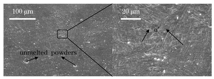 P单元的微观组织形貌