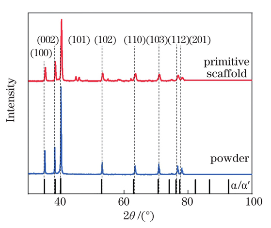 P单元与粉末的XRD图谱