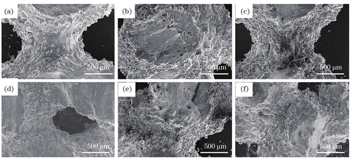 P单元和G单元断口的低倍形貌。(a)(d)均匀孔隙率;(b)(e) 5%梯度孔隙率;(c)(f) 10%梯度孔隙率