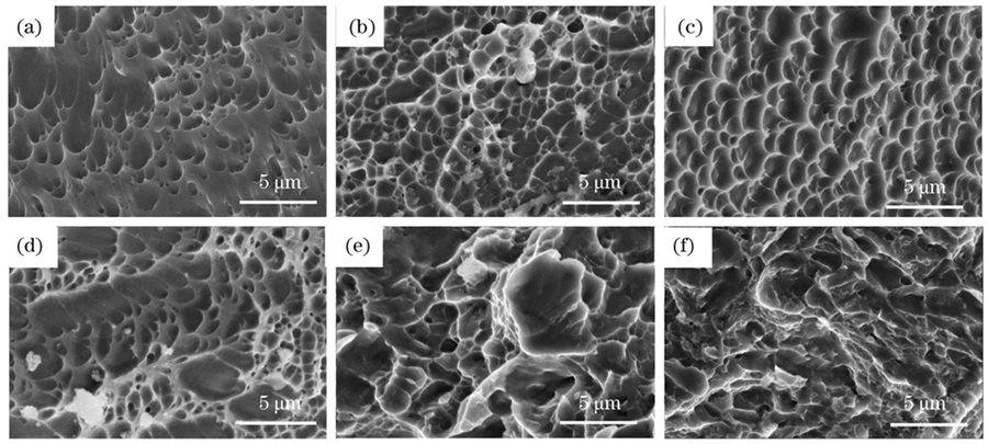 P单元和G单元断口的高倍形貌。(a)(d)均匀孔隙率;(b)(e) 5%梯度孔隙率;(c)(f) 10%梯度孔隙率