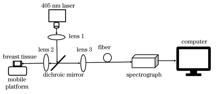 实验装置示意图