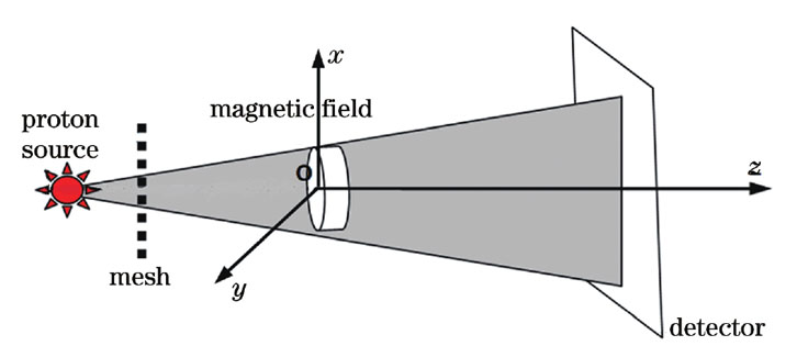FLUKA程序中网格质子成像的示意图