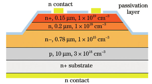 SiC APD的剖面结构