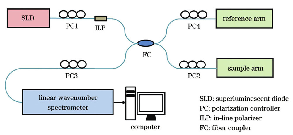 基于全单模光纤、单输入偏振态和单线性波数光谱仪的SD-PSOCT的原理图
