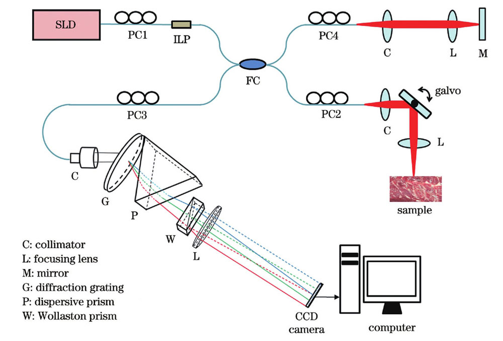 所提SD-PSOCT系统示意图