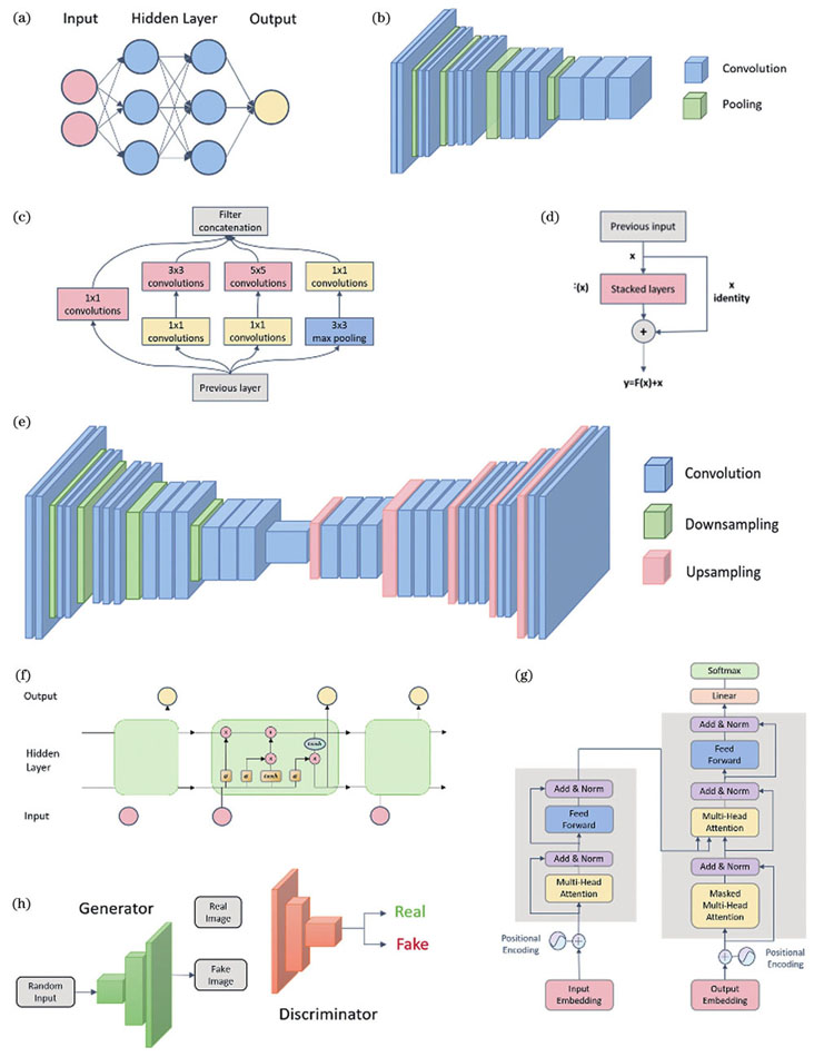 深度学习在单分子定位显微镜中的应用