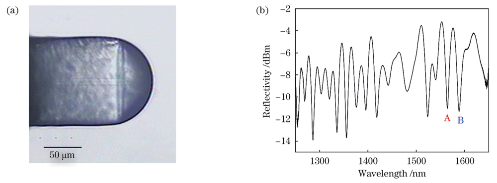 所设计的光纤传感探头的光学图片和干涉谱。(a)光学图片;(b)干涉谱
