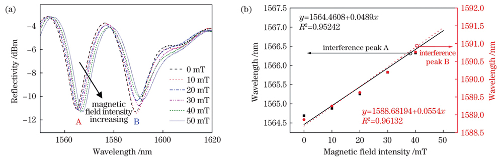 光纤传感探头对磁场的响应。(a)干涉谱;(b)两个干涉峰的线性拟合结果