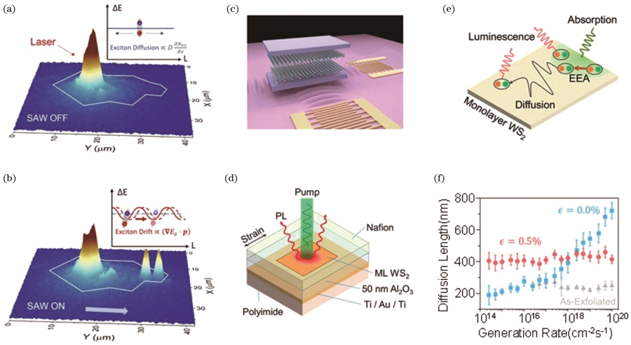 Dynamics of Exciton Transport in Two‐Dimensional Materials