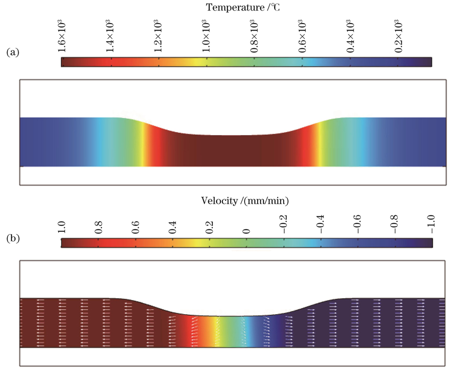 固定热源下拉锥温度场和速度场分布。(a)温度场;(b)速度场