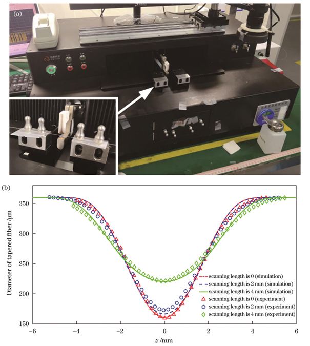 拉锥轮廓模拟的实验验证。(a)拉锥实验;(b)拉锥轮廓模拟结果与实验结果的对比
