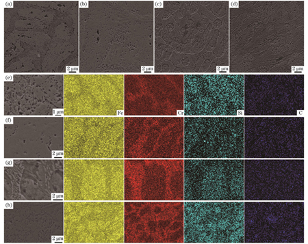 涂层的微观形貌及EDS面扫图像。(a)(e)S1涂层;(b)(f)S2涂层;(c)(g)S3涂层;(d)(h)S4涂层